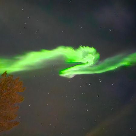 Innholdsrik Og Koselig Leilighet I Svolvaer Lofoten Exteriör bild